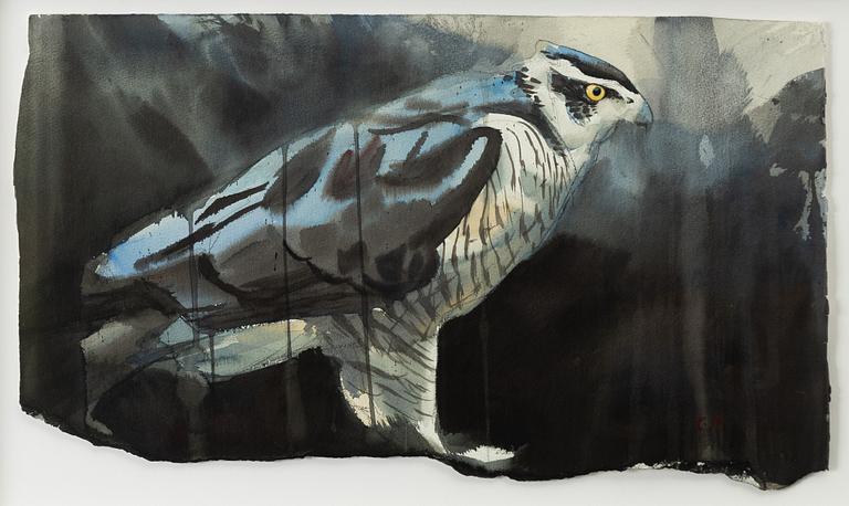 Emanuel Bernstone, Goshawk.