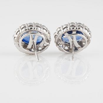 ÖRHÄNGEN, 14K vitguld med ovalslipade kyaniter ca 4.80 ct samt briljantslipade safirer ca 1.25 ct. Vikt 5,1 gram.