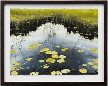 Peter Eugén, Lake with water lilies and reeds.