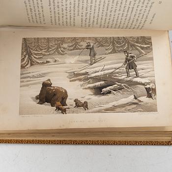 Collection of older books on hunting.