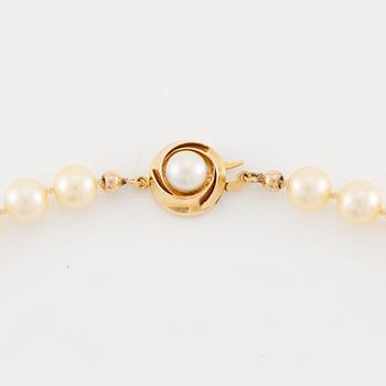 Necklace of cultured pearls with an 18K gold clasp and a cultured pearl.