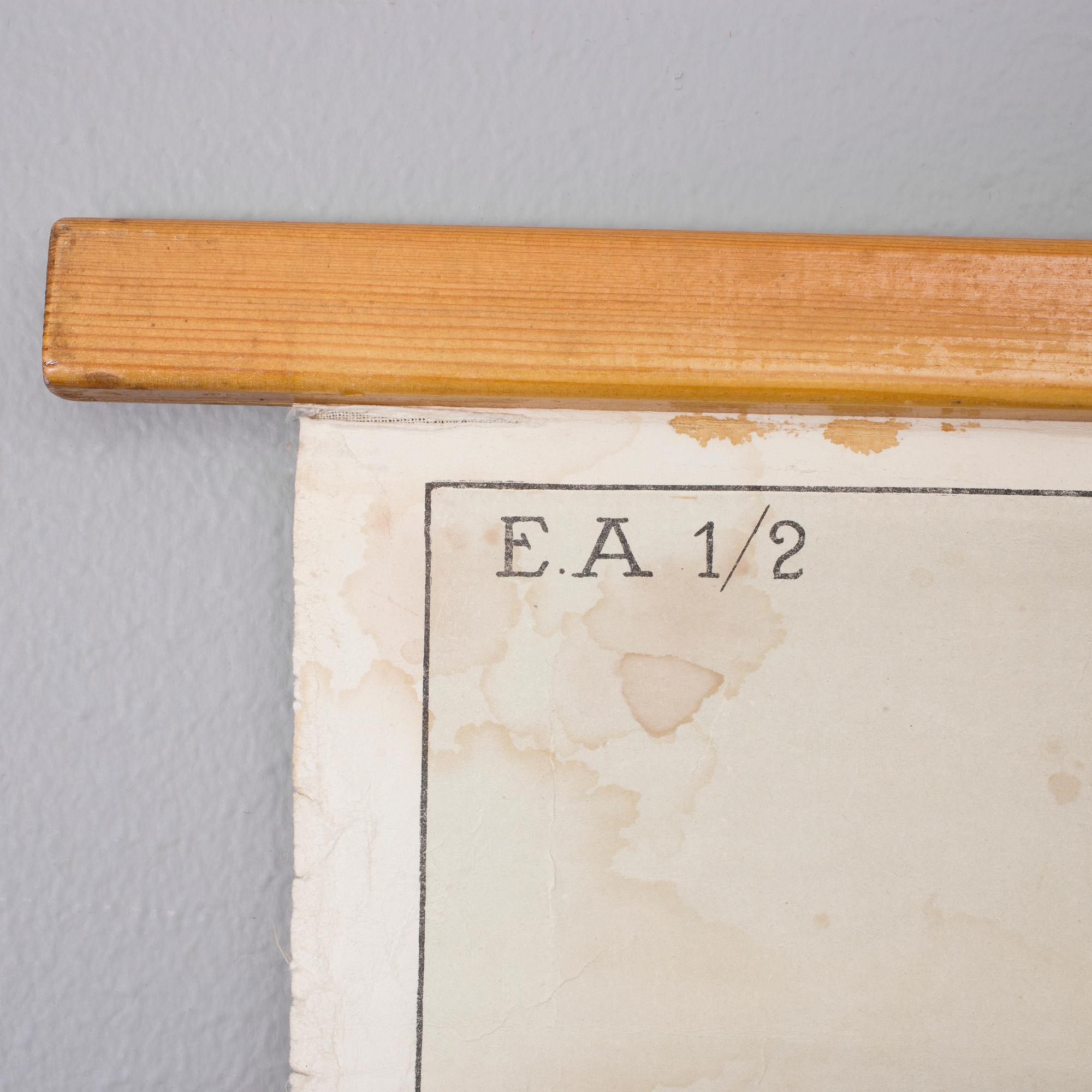 PLANSCH, 1900-talets första hälft.