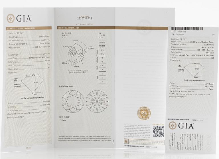 Ring 18K vitguld med briljantslipad diamant 2.54 ct. Medföljande GIA report.