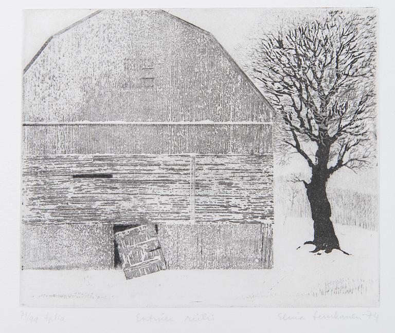 Taidegraafikot Kannatusjäsensalkku XII.