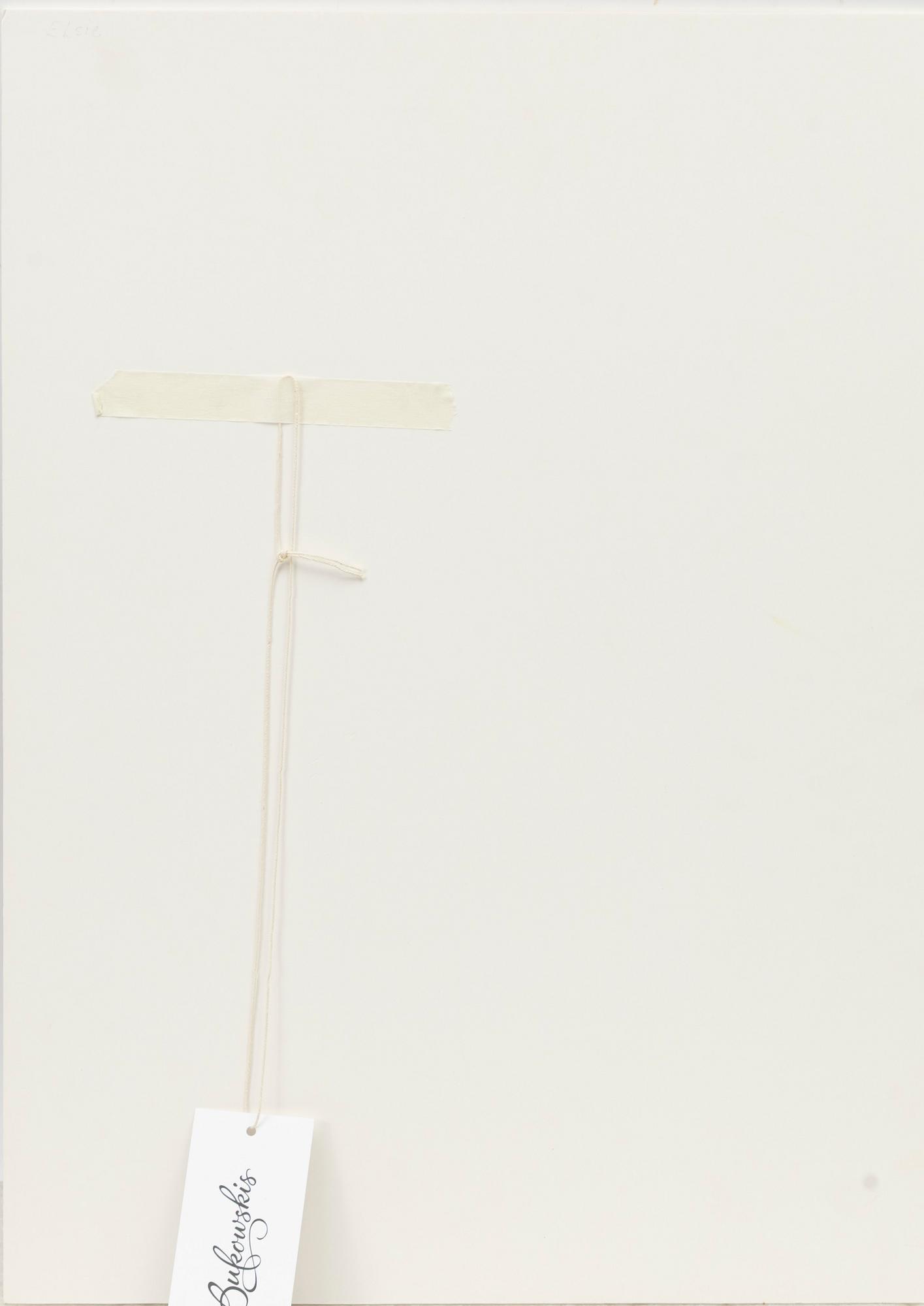 Hilding Linnqvist, Portrait.