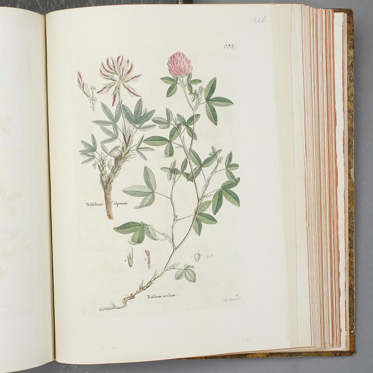 FRIEDRICH GOTTLOB HAYNE, 4 vol i 2, Darstellung und Beschreibung der Arzneygewächse.., Berlin resp Leipzig 1829-1848.