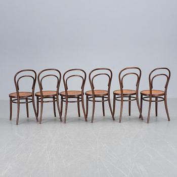 STOLAR, 6 st, Thonet-typ. 1900-tal.