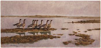 780. Bruno Liljefors, Geese in wetland.