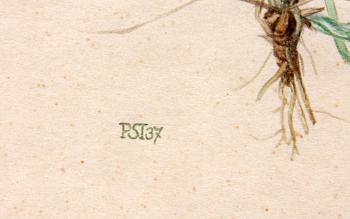 DETLEV STEINEG, akvarell monogramsign. o dat -37.