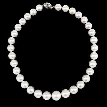 1098. NECKLACE, cultured South sea pearls, 17-12 mm.
