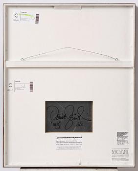 Denise Grünstein, “Wig”, 2011.