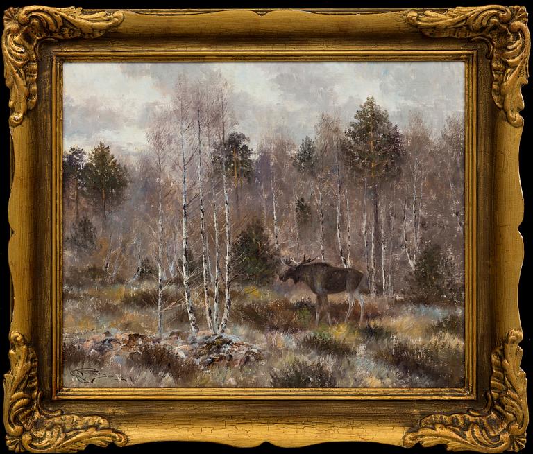 JOHANNES RAVN,