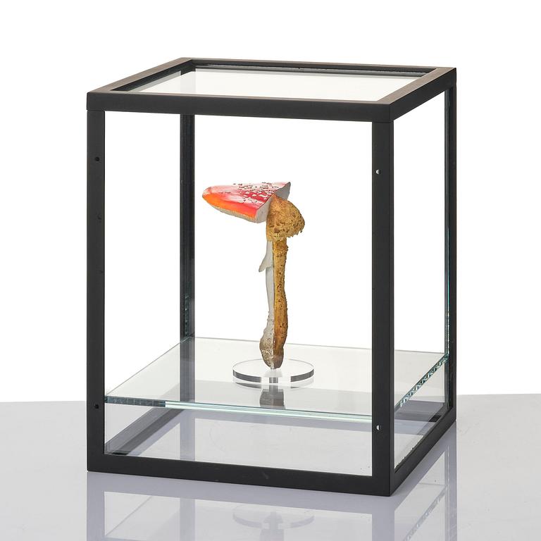 Carsten Höller, "Double Mushroom Vitrine (Once)".