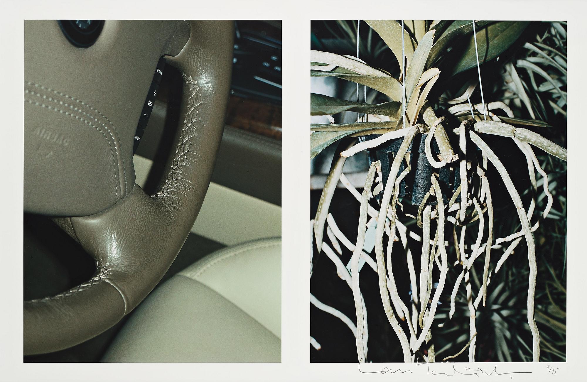 Lars Tunbjörk, From the series "Wunderbaum".