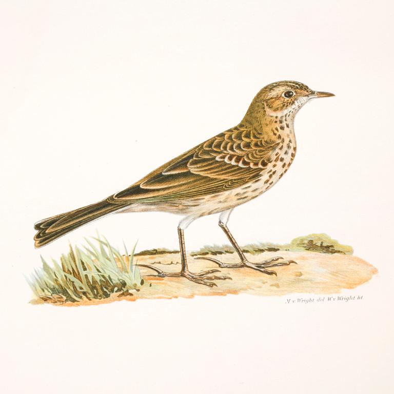 M, W & F VON WRIGHT, books, three volumes, 'Svenska fåglar', A. Börtzells tryckeri AB Stockholm, 1924-1929.