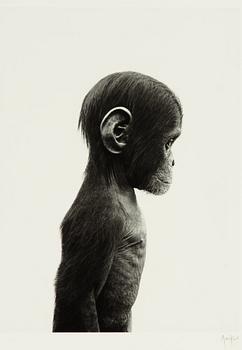 Ulf Rollof, pigment print, signerad och daterad 2013. Ed 003/100.