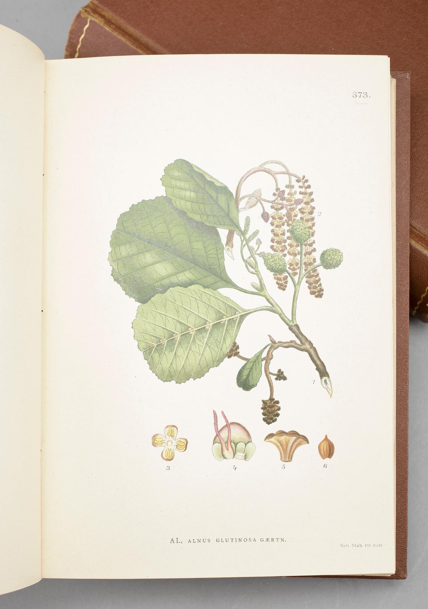 BÖCKER, 3 volymer C.A.M Lindman. "Bilder ur Nordens Flora". C. A. M. Lindman, Wahlström & Widstrand, 1922-26, Stockholm.