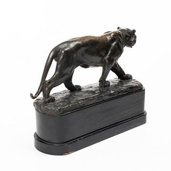 Johan Axel Wetterlund, Tiger.