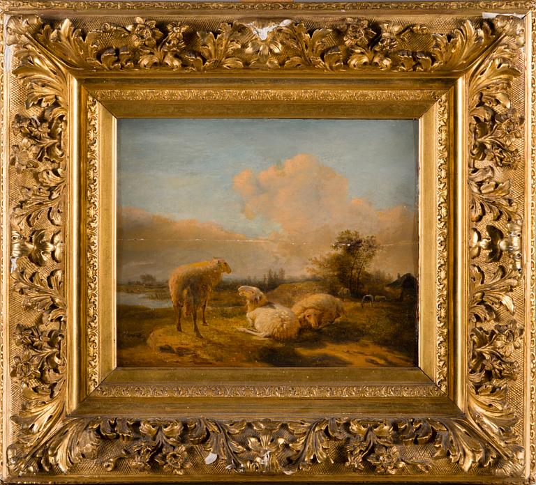 BALTHASAR PAUL OMMEGANCK, FÅR.