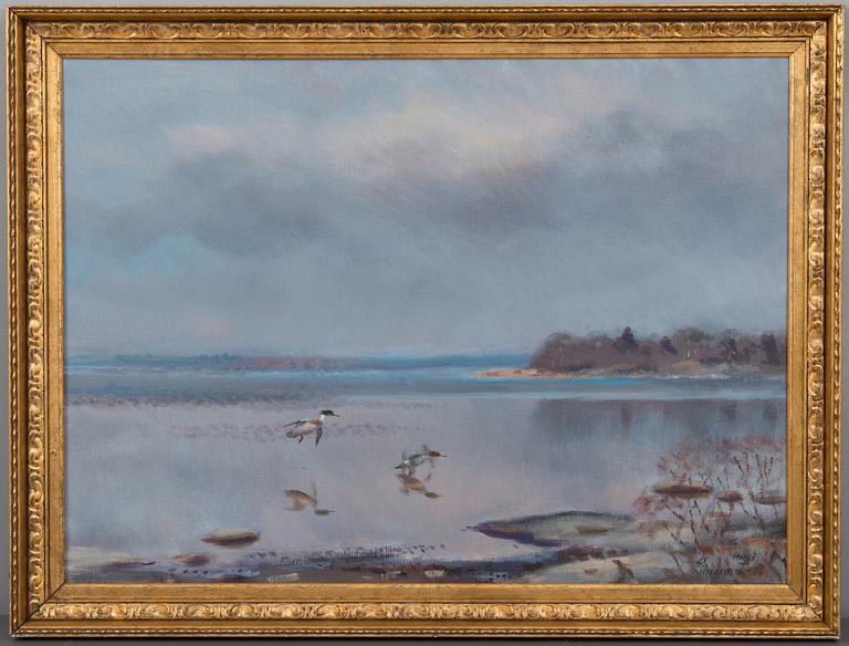 Lindorm Liljefors, BIRDS BY THE SHORE, ÅLAND.