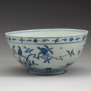 A large blue and white 'parrot and pomegranate' bowl, Ming dynasty (1368-1644).