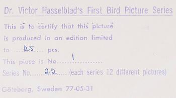 VICTOR HASSELBLAD, fotografier, 12 st, signerade, daterade och numrerade, ur serien nr 22.