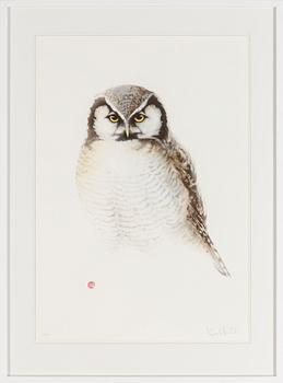Karl Mårtens · KARL MÅRTENS, färglitografi, signerad o numrerad 103/288.