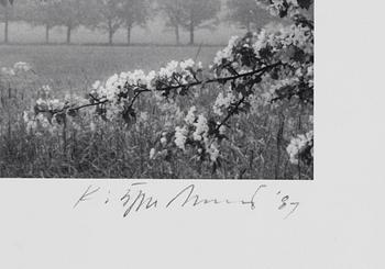 Kristoffer Albrecht, Untitled, 1989.