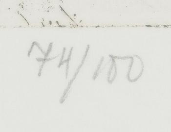 Outi Heiskanen, "Flygande dervisch".