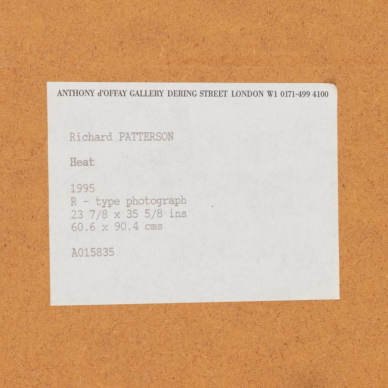 Richard Patterson, "Heat".