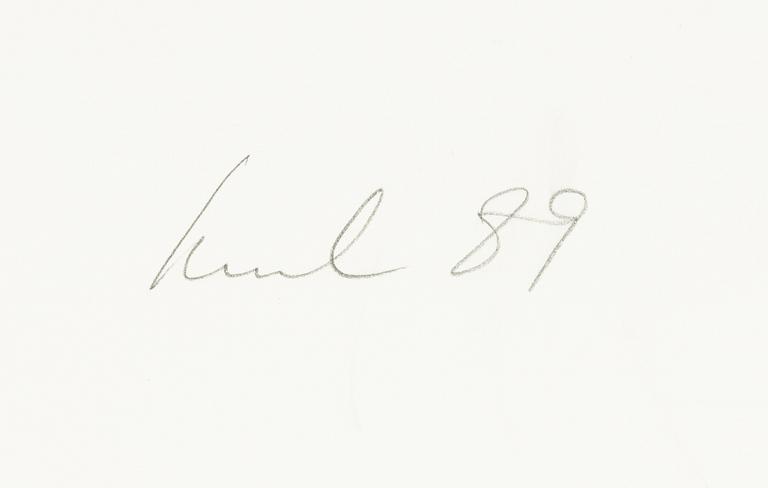 Raul Meel, "Windows and Landscape 3".