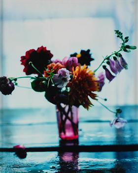 262. Denise Grünstein, "24 Juli", 2010.