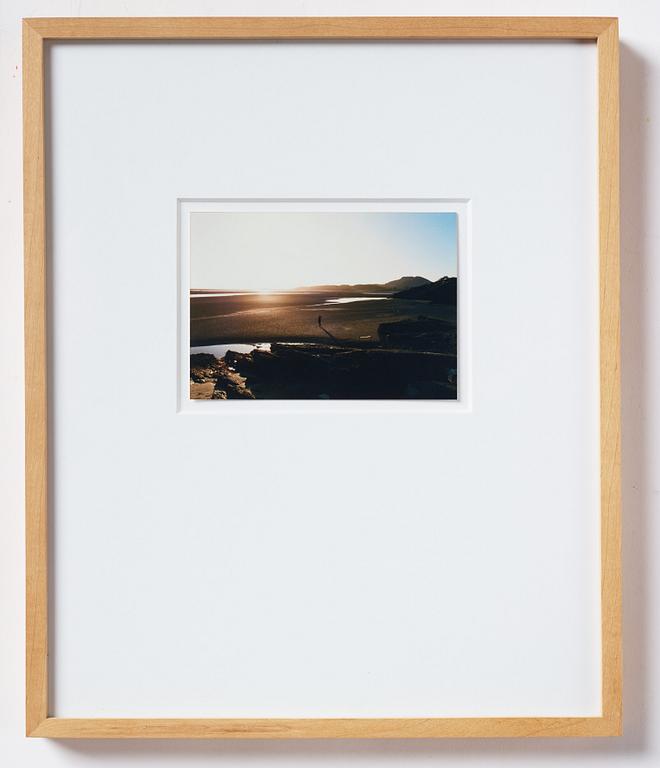 Dan Rees, fotografi, 2009.