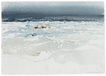 220. Lars Lerin, "Seymore Island".