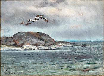 Lindorm Liljefors, "Ejderstreck".