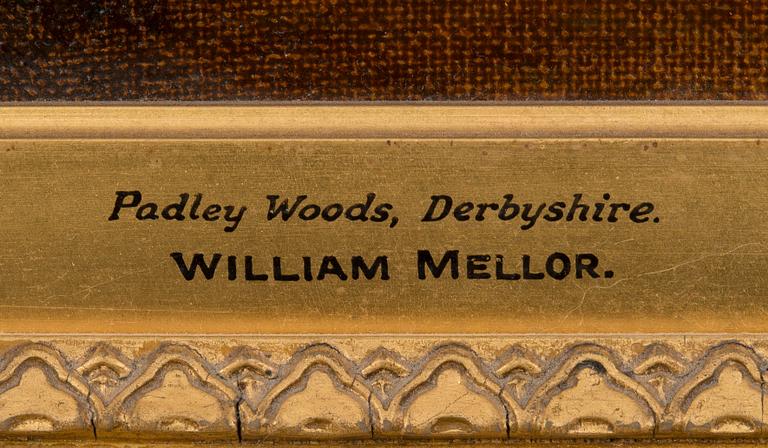 William Mellor, "PADLEY WOODS, DERBYSHIRE".