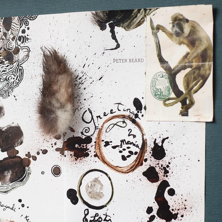 Peter Beard, "Lake Magali, Kenya".