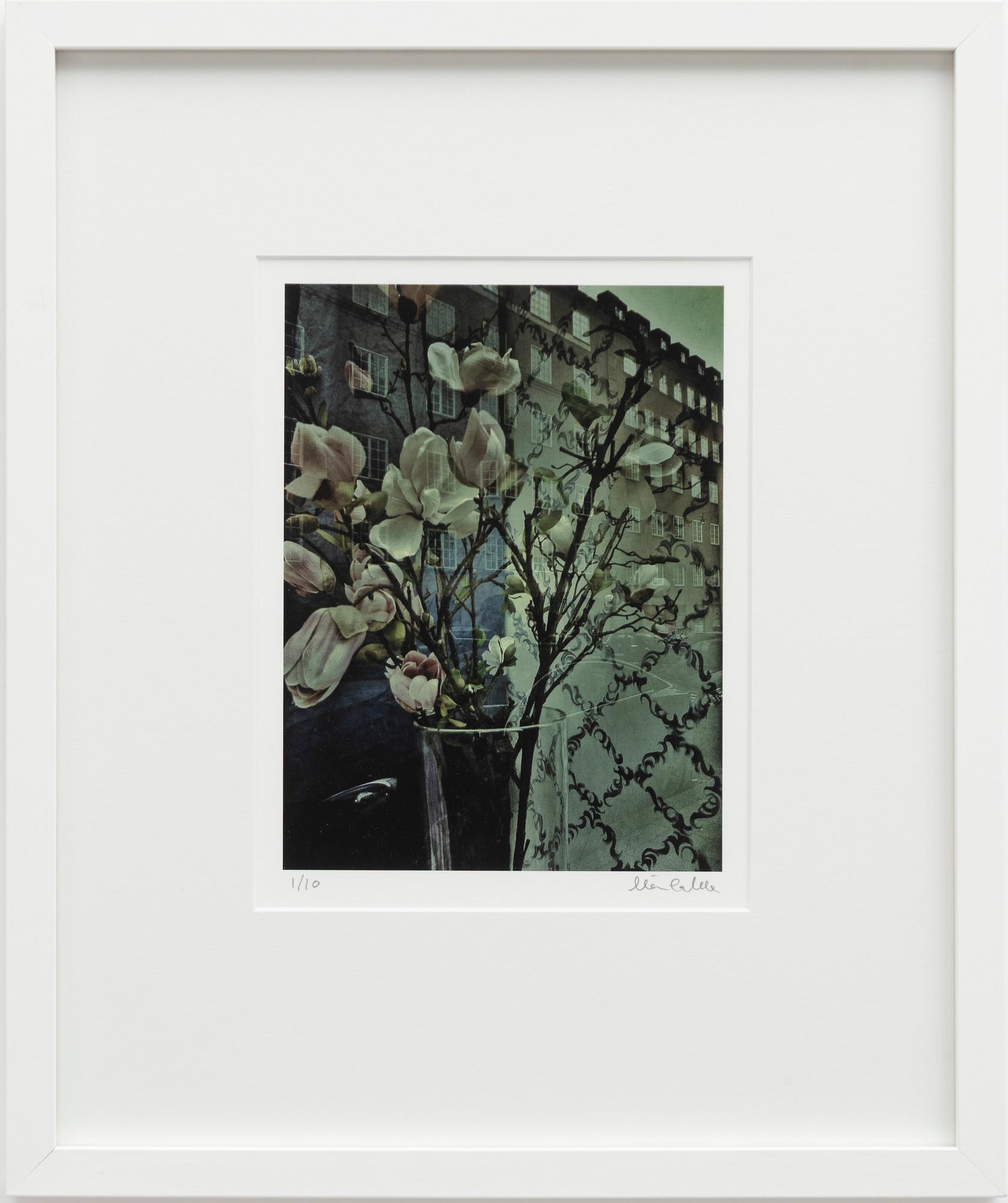 Mia Galde, Untitled.