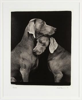 William Wegman, archival pigment print 2009, signed. Numbered 262/1500 verso.