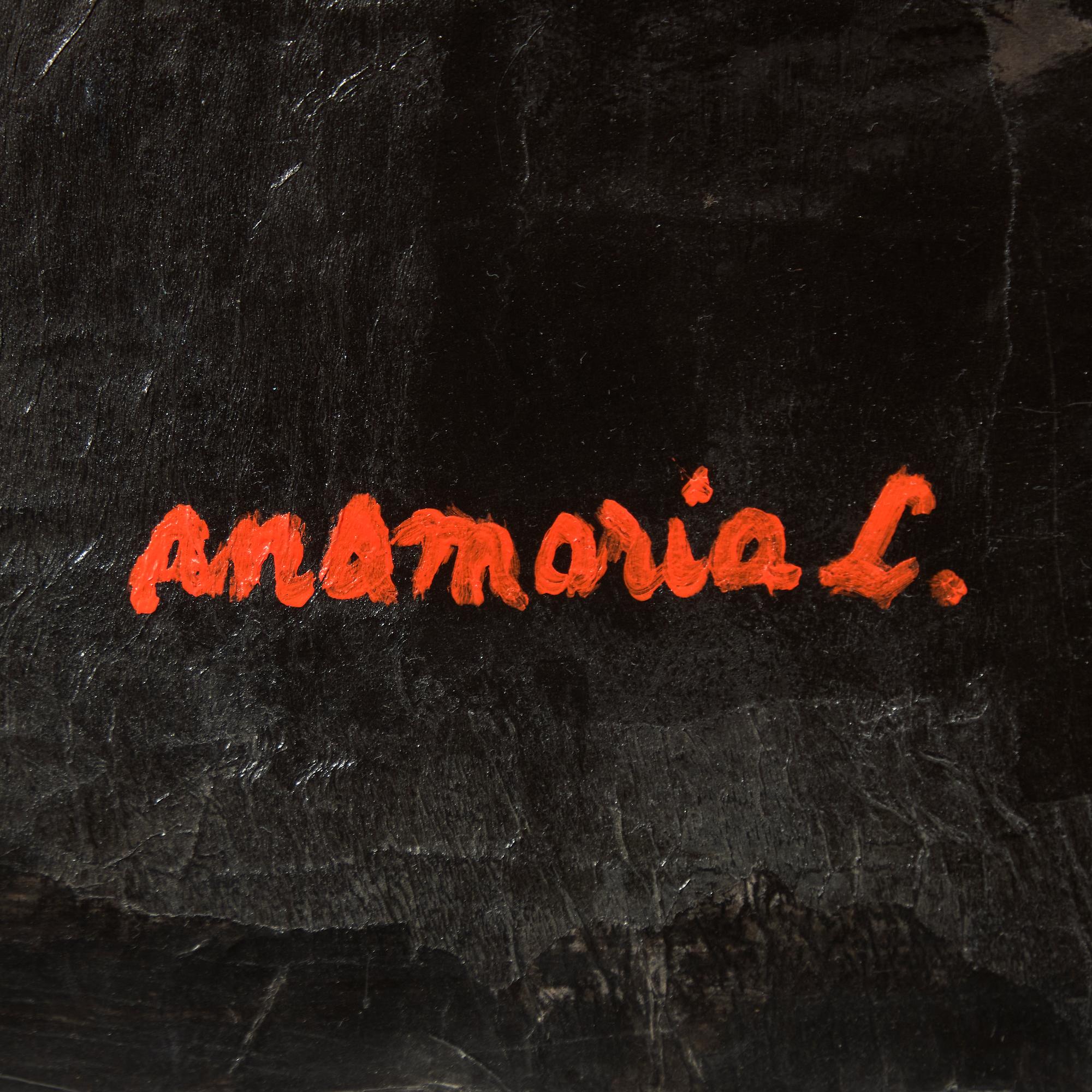 Ana María Lorenzen, "Siempre Che".