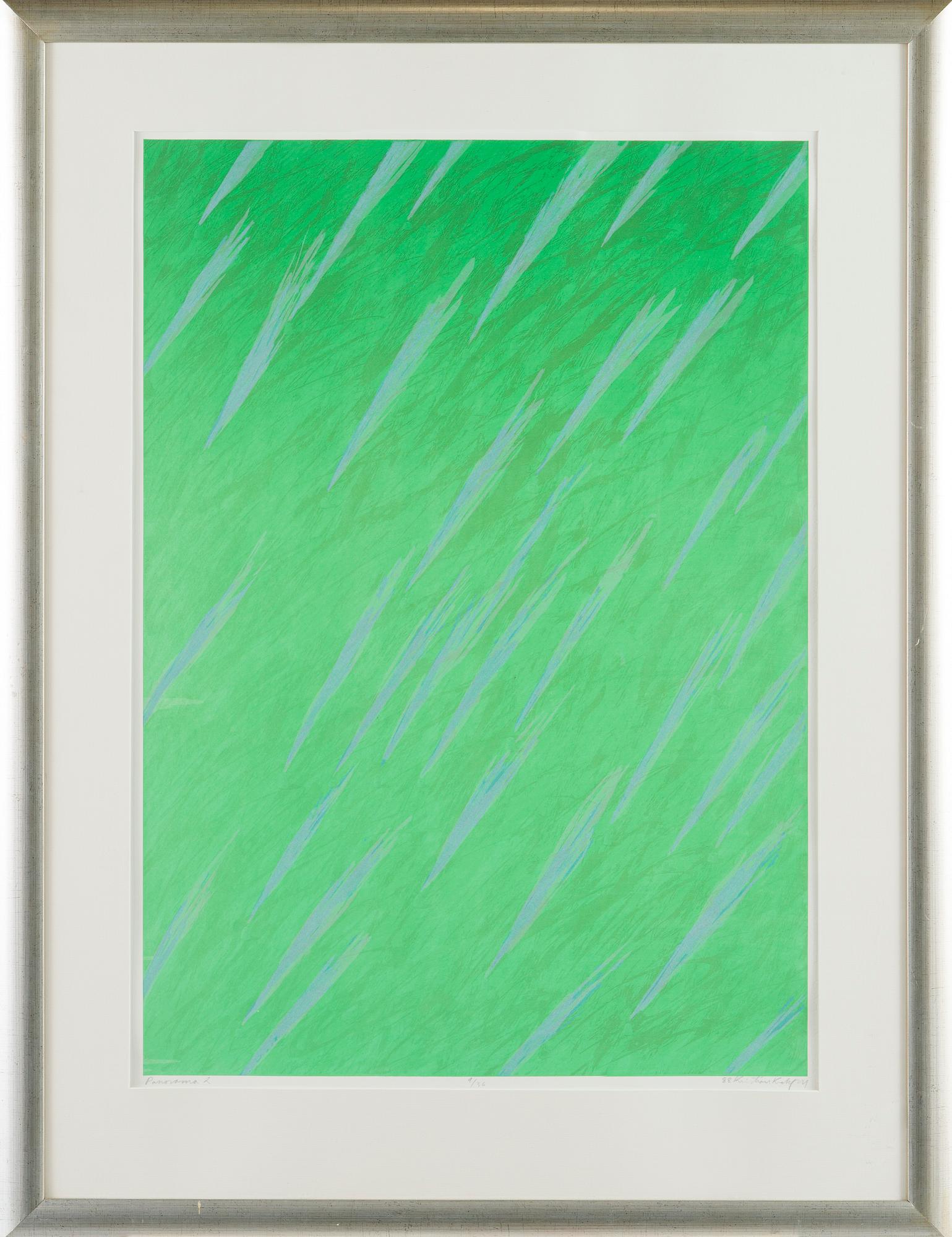 Kristian Krokfors, "Panoraama 2".