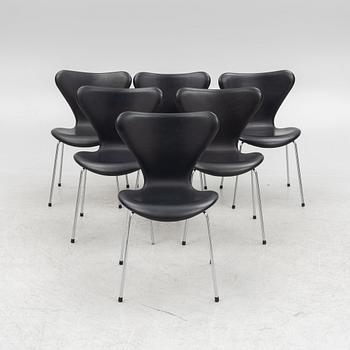 Arne Jacobsen, chairs, 6 pcs, "Serie 7", Fritz Hansen, Denmark, 2002.