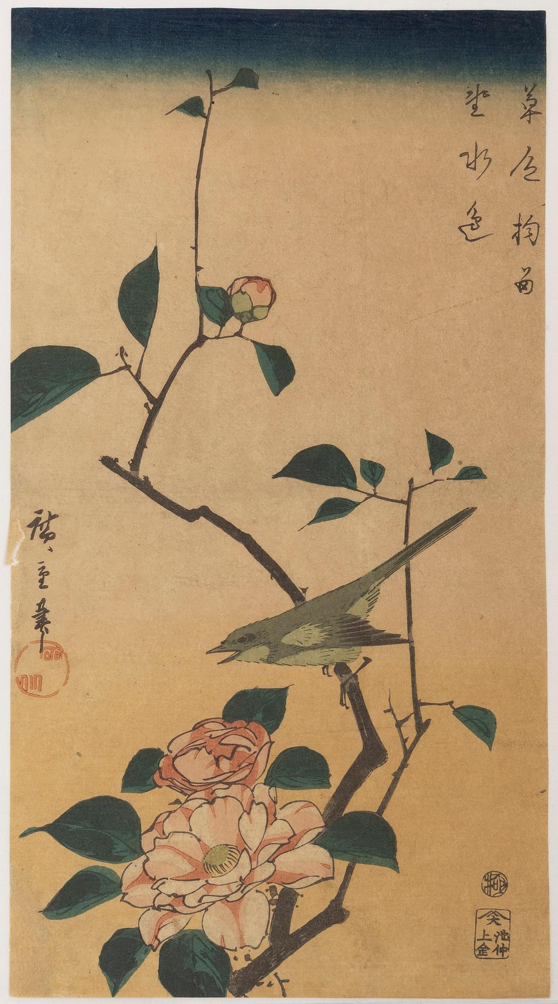 "Tsubaki ni uguisu" (Camellia and Bushe Wabler), after.
