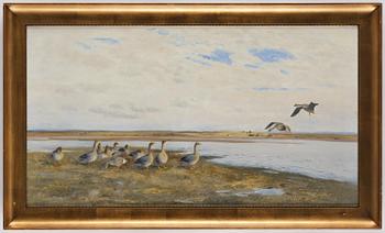 Bruno Liljefors, Landscape with geese.