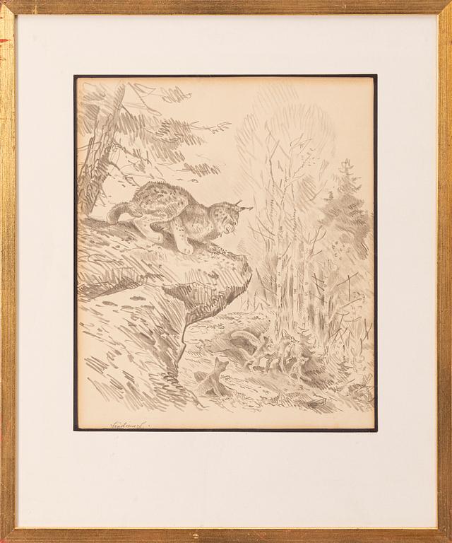 Lindorm Liljefors, The fox family.