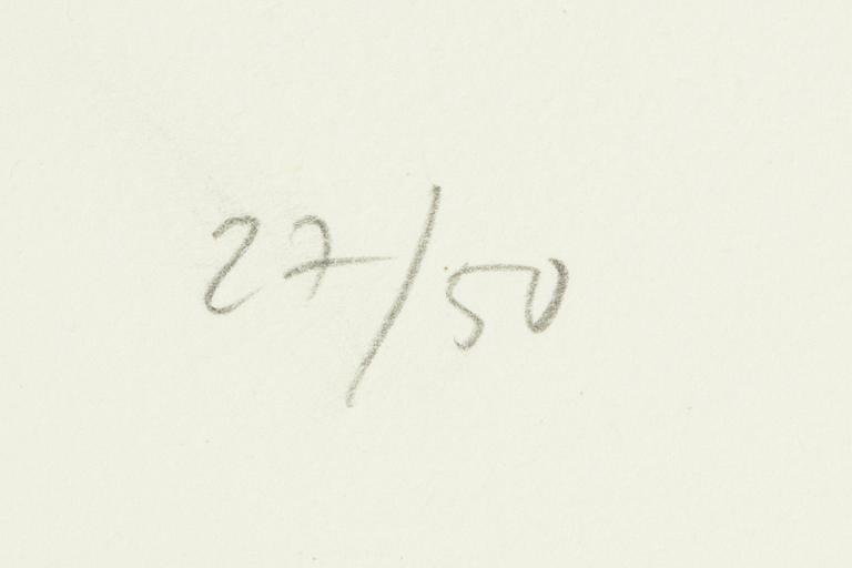 Jan Håfström, "Material från Arkivet IV".