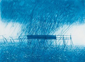 Päivi Lempinen, Meri.