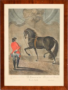 JOHANN ELIAS RIDINGER, efter, gravyrer, 9 st, omkr 1900.