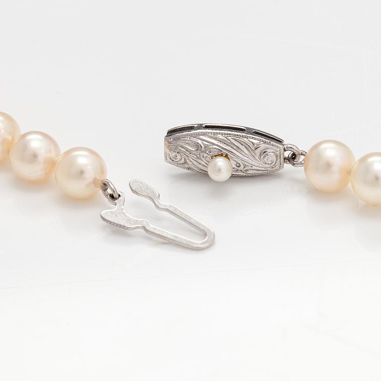 Helminauha, viljellyt helmet, metallilukko.