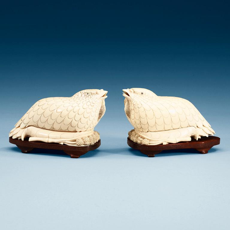 A pair of ivory figurines/boxes with covers in the shape of two quails, Qing dynasty (1644-1912).